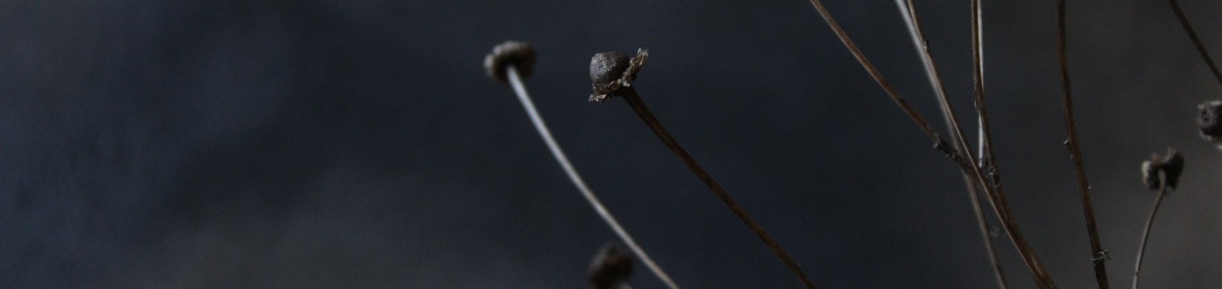 Обложка мастерской