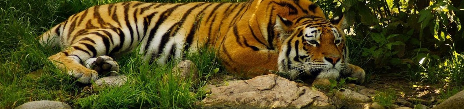 Обложка мастерской