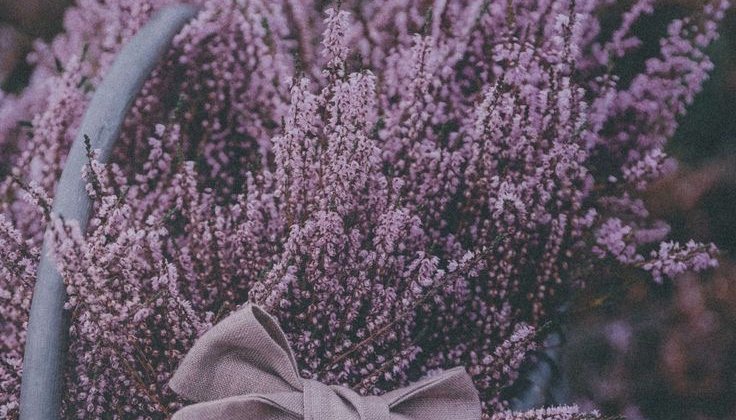 Обложка мастерской